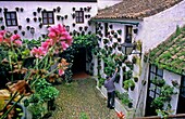 Córdoba Andalusia Spain: Typical courtyard, in San Basilio 50 Street Headquarters of the friends,  association of the courtyards of Cordoba