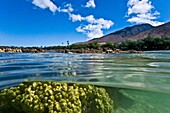 Half undewater and half above water view of Olowalu Reef on the west side of the island of Maui, Hawaii, USA