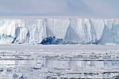 Huge tabular icebergs and smaller ice floes in the Weddell Sea, on the eastern side of the Antarctic Peninsula MORE INFO The Weddell Sea is often blocked to ship navigation due to ice conditions In November 2009 the Captain Khlebnikov icebreaker was stu