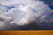 A supercellular thunderstorm near Dodge City, Kansas, USA, June 9, 2009