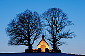 Illuminated chapel with two trees, lake Chiemsee, Chiemgau, Upper Bavaria, Bavaria, Germany, Europe