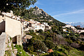 Dorf Lumio am Berghang über dem Meer, Orangenbaum, Lumio, Calvi, Insel Korsika, Frankreich