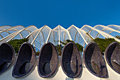 Nahaufnahme von Umbracle (detail), Grünanlage in der Stadt der Künste und der Wissenschaften, Cuidad de las Artes y las Ciencias, Santiago Calatrava (architect), Valencia, Spanien