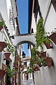 Gasse in der Altstadt, Cordoba, Andalusien, Spanien