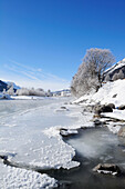 Inn mit vereistem Ufer und La Punt-Chamues-ch im Hintergrund, La Punt, Oberengadin, Engadin, Graubünden, Schweiz, Europa