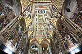 Pinturicchio's frescoes in the Piccolomini Library of the Duomo in Siena, Italy
