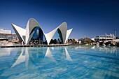 The Oceanographic at the City of Arts and Sciences, Valencia, Spain