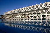 The Science Museum, City of Arts and Sciences, Valencia, Spain