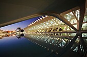 City of Arts and Sciences by Calatrava, Valencia, Spain