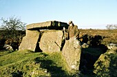Old man beside prehistoric Neolithic burial chamber dolmen known as Craig's Tomb near Ballymoney, Co Antrim, Northern Ireland