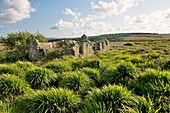 Hill farm house cottage ruin in landscape near Dunglow on the mountain road to Ballybofey, Co Donegal, Ireland