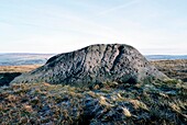 The Badger Stone, Ilkley Moor, West Yorkshire, England Natural boulder carved with prehistoric cup and ring marks rock art