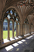 Canterbury Cathedral - Great Cloister, Canterbury, Kent, UK - England