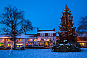 The Christmas Tree on the Green at Great Ayton North Yorkshire, Great Ayton, North Yorkshire, UK - England