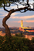 View to Palazzo Vecchio from Piazzale Michelangelo, Florence, Tuscany, Italy