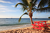 Beach scene, St Peter, Barbados, Caribbean