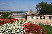 City skyline and flowers, Budapest, Hungary
