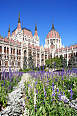 Parliament and flowers, Budapest, Hungary