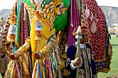 Jaipur Elephant Festival, Jaipur, Rajasthan, India