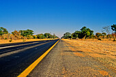 Elephants crossing desert park road, Botswana
