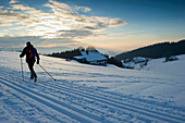 Cross-country skier in sunset, St Peter, Black Forest, Baden-Wurttemberg, Germany