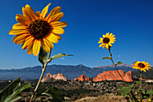 Garden of the Gods, Colorado Springs, Colorado, USA, North America, America