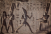 Hieroglyphen an der Kapelle des Thuthmosis III., Tempel von Luxor, früher Theben, Ägypten, Afrika
