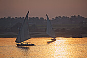 Feluccas and sunset on the river Nile, Luxor (formerly Thebes), Egypt, Africa
