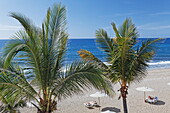 Palm trees on the beach at Hotel Saint Alexis, Saint Gilles les Bains, La Reunion, Indian Ocean