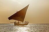 Dau segelt entlang dem Stadtstrand von Stonetown, Sansibar City, Sansibar, Tansania, Afrika