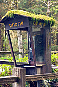 Moss Covered Phone Booth, Forks, WA, US