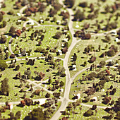 Aerial View of Cemetery, Colma, California, USA