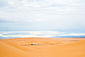 Truck Driving Through Desert, Imperial Sand Dunes, California, USA