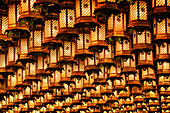 Asian Lanterns Suspended from a Ceiling, Miyajima island, Hiroshima prefecture, Honshu island, Japan, Asia