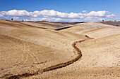 Desert Landscape, San Quirico D'Orcia, Tuscany, Italy