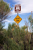 Route 66 and Dead End Signs, New Mexico, USA