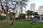 Sculptures at a park at downtown, Los Angeles, California, USA, America