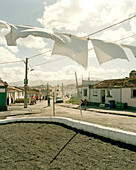 Wäsche trocknet im Wind vor Fischerhäusern, Küstenstädchen Rabo de Peixe, Insel Sao Miguel, Azoren, Portugal