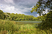 Holzmaar zwischen Gillenfeld und Eckfeld, Eifel, Rheinland-Pfalz, Deutschland, Europa