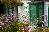 Cottage in the village of Rowen, Snowdonia National Park, Wales, UK