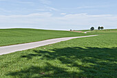 Country road near Degerndorf, Bavaria, Germany