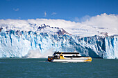 Calving glacier, ship in front of the Perito Moreno glacier, Lago Argentino, Los Glaciares National Park, near El Calafate, Patagonia, Argentina