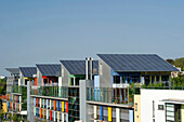 Häuser mit Solardächer der Solarsiedlung, Vauban-Viertel, Freiburg im Breisgau, Baden-Württemberg, Deutschland, Europa