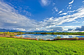 Der Riegsee im Sonnenlicht im Frühling, im Hintergrund Murnau und das Wettersteingebirge mit Zugspitze und Alpspitze, Oberbayern, Deutschland, Europa