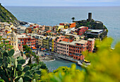 View of colourful houses and harbour, Vernazza, Cinque Terre, La Spezia, Liguria, Italy, Europe