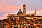 Cityscape with cathedral in the afterglow, Siena, Tuscany, Italy