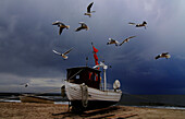 Fishing boat on beach, Stubbenfelde, Usedom, Mecklenburg-Western Pomerania, Germany