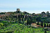 Ortschaft Pienza mit Zypressen und Olivenhain, Val d´Orcia, UNESCO Weltkulturerbe Val d´Orcia, Toskana, Italien