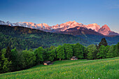 Meadow with flowers and hay sheds in front of Wettertein range with Hochwanner, Alpspitze, Zugspitze and Waxenstein, Garmisch-Partenkirchen, Wetterstein range, Werdenfels, Upper Bavaria, Bavaria, Germany, Europe