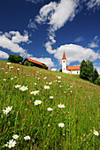 Kirche und Bauernhof auf einer Blumenwiese, Kärnten, Österreich, Europa